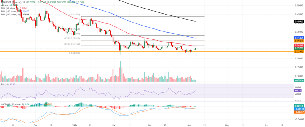 卡尔达诺价格站稳0.25美元，多头布局渐显强势