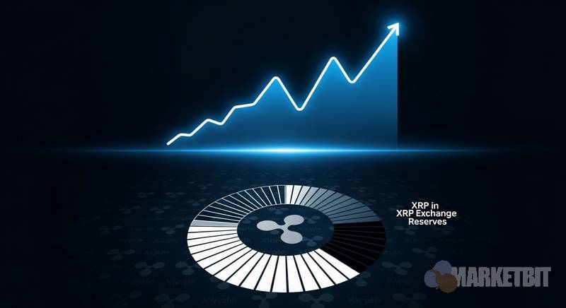 XRP供应趋紧隐现，机构重估持仓逻辑