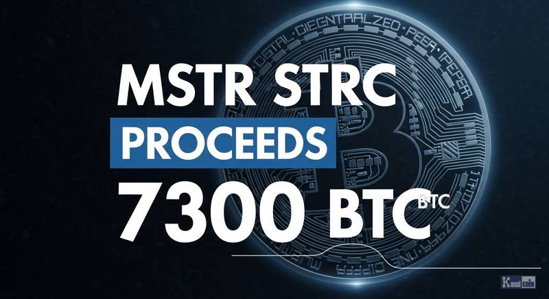 战略公司单周购入超4800枚比特币，市场热议7300枚传闻