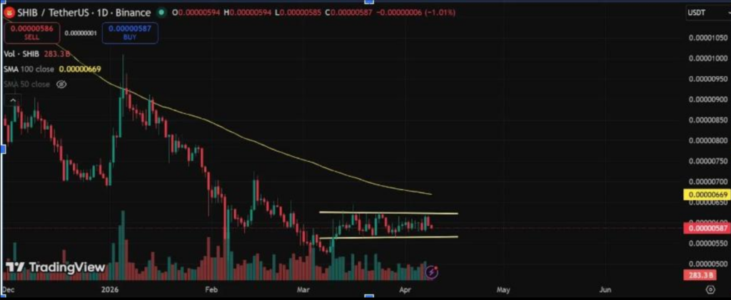 SHIB盘整蓄势：0.0000060美元成关键破局点