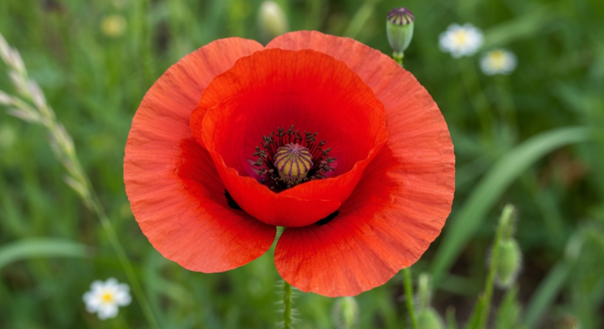 SEC发布DeFi接口监管指南，划定合规边界