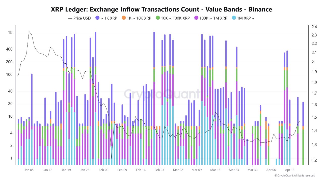 XRP链上数据现转暖信号，1.55美元成关键突破点