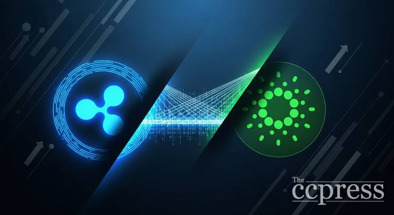 RLUSD跨链接入卡尔达诺，稳定币生态再扩容