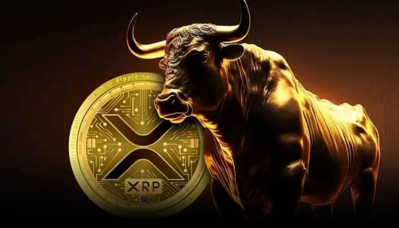 XRP技术面看涨信号浮现，长期目标或冲15美元