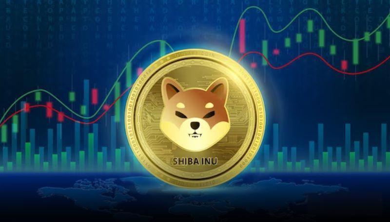 柴犬币24小时销毁激增405% 持仓者加速布局