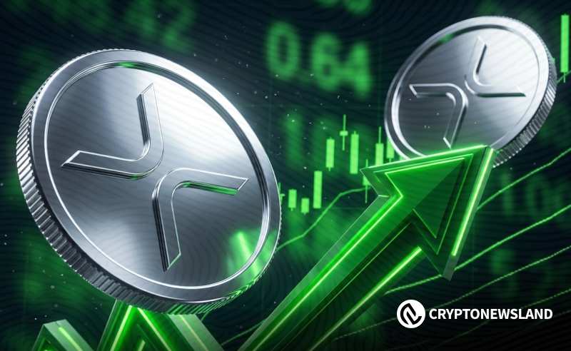 瑞波币逼近13美元？多维信号共振酝酿突破