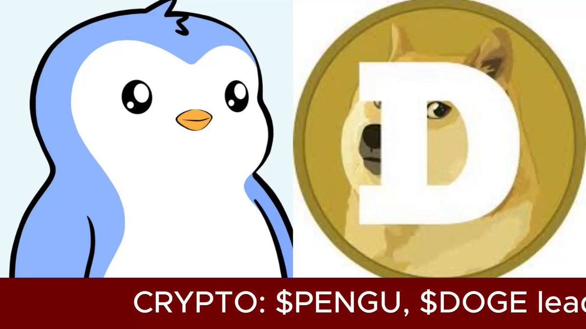 PENGU与DOGE领涨迷因币，市场分化加剧