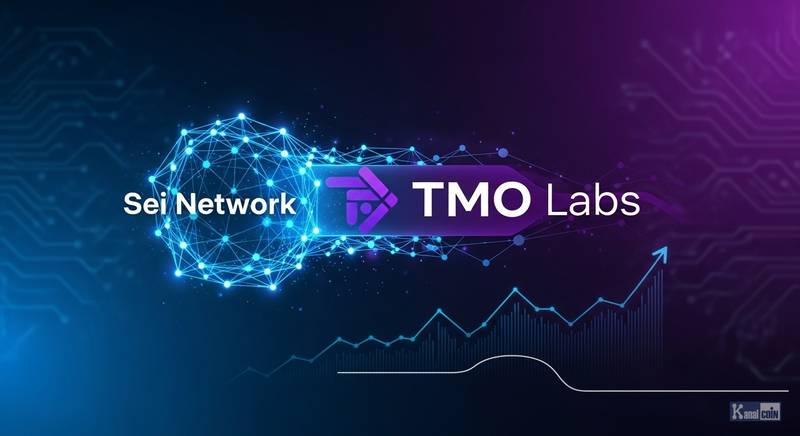 TMO实验室携手Sei Network布局韩区支付生态