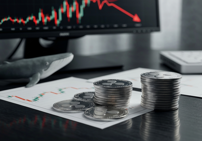 瑞波币巨量持仓转移引关注：是抛售信号还是布局前兆？