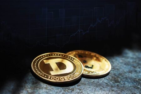 狗狗币盘整期隐现新信号：结构未破，蓄力待发