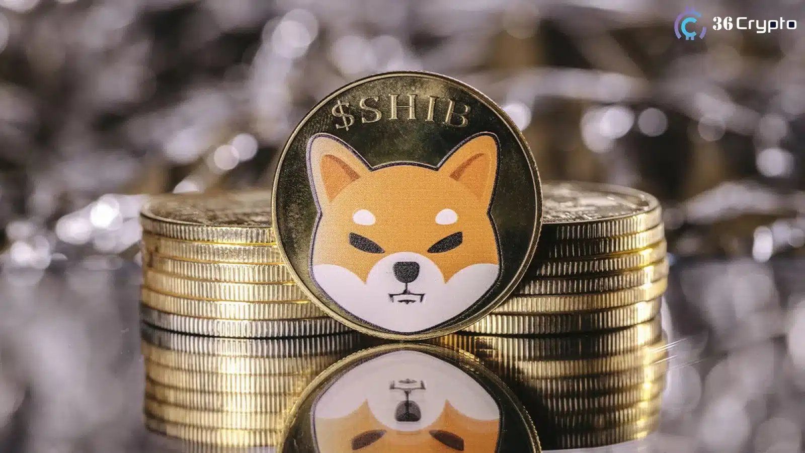 柴犬币现货活跃度飙升，持仓转移暗藏积累信号