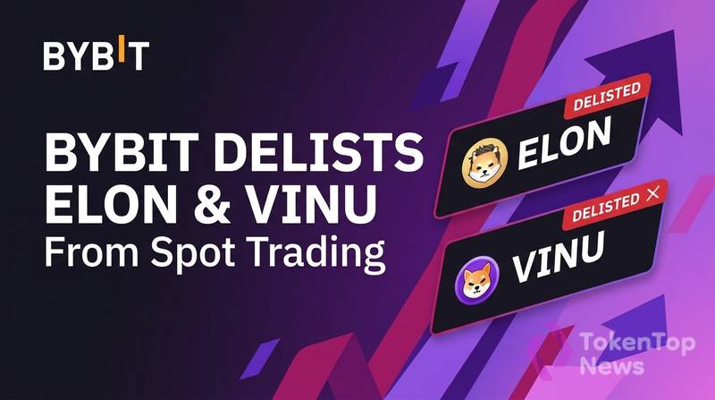 Bybit下架迷因币ELON与VINU，流动性风险凸显