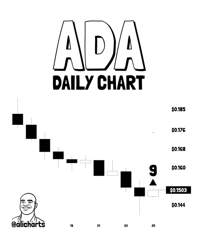 ADA价格承压：漏洞事件冲击信心，恢复计划成关键变量