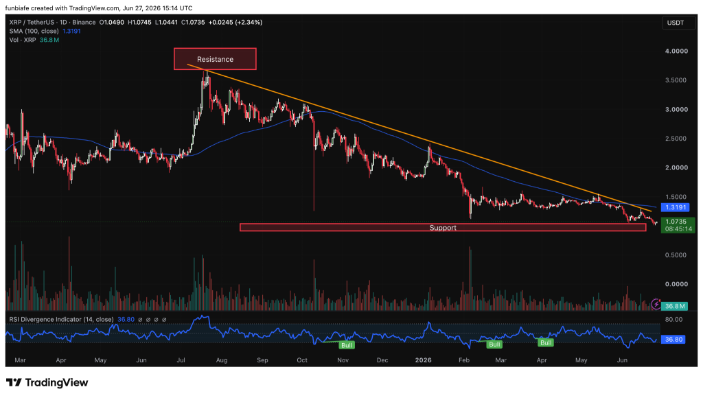 XRP能否逆势突围？关键支撑与机构动向成焦点