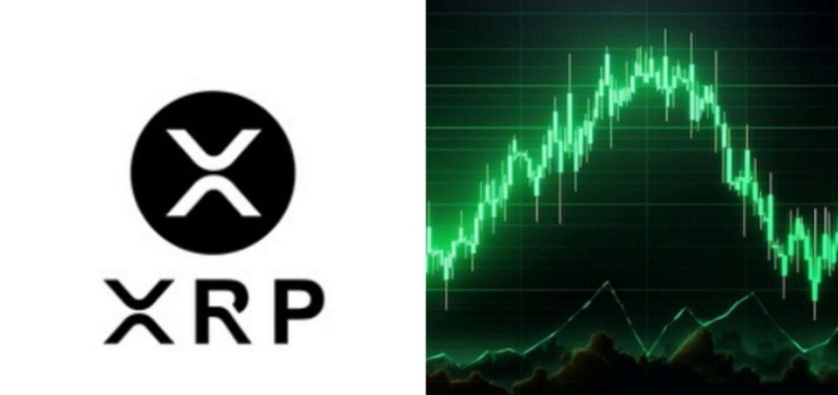 XRP链上活跃度飙升，4941新钱包涌入背后暗藏信号