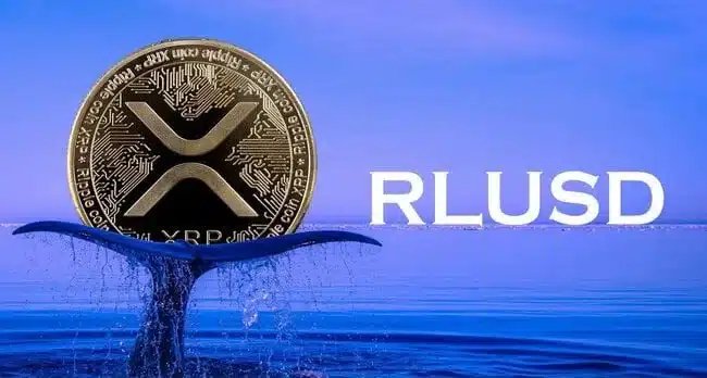 RLUSD超半数迁移至XRP链，交易量逼近9亿美元