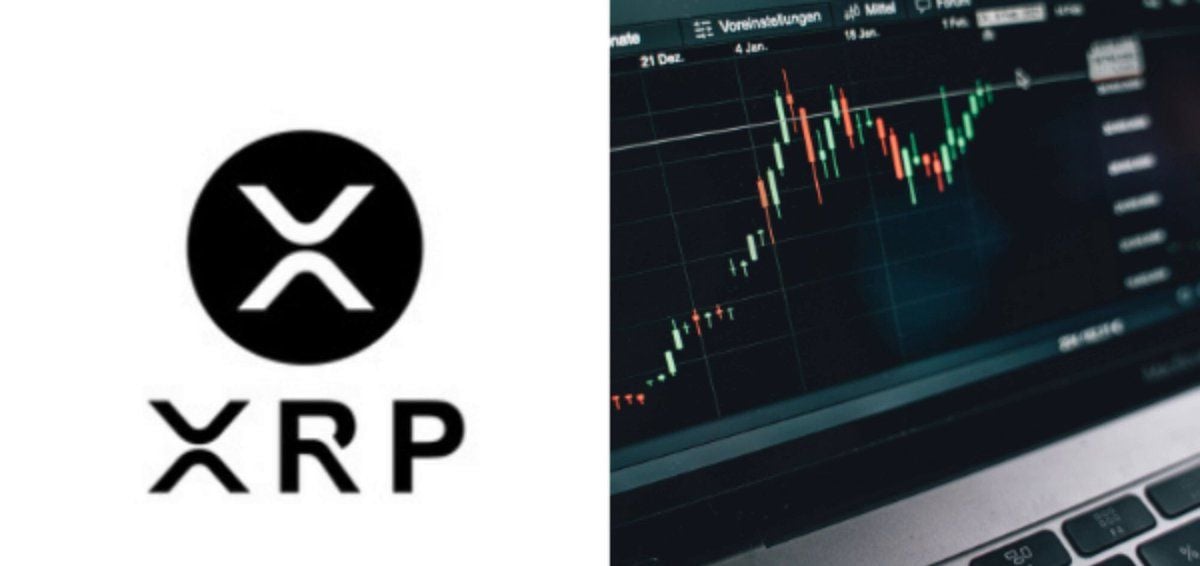XRP链上数据背离：价格跌，钱包增，蓄势待发？