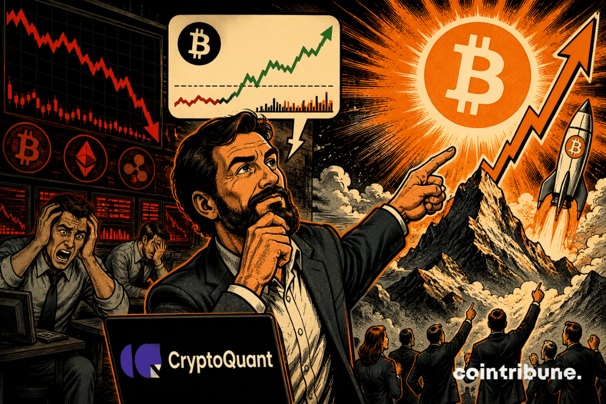 比特币周期顶峰存疑？巨鲸买入暗示新一轮积累