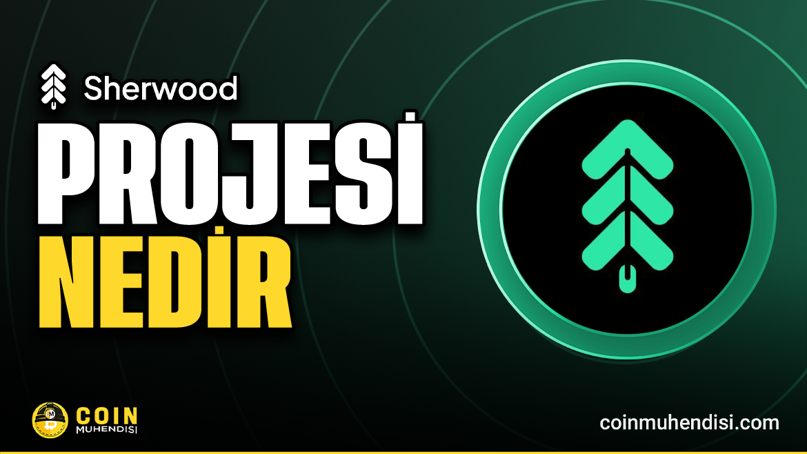 AI+DeFi新范式：Sherwood Protocol如何重塑资产管理