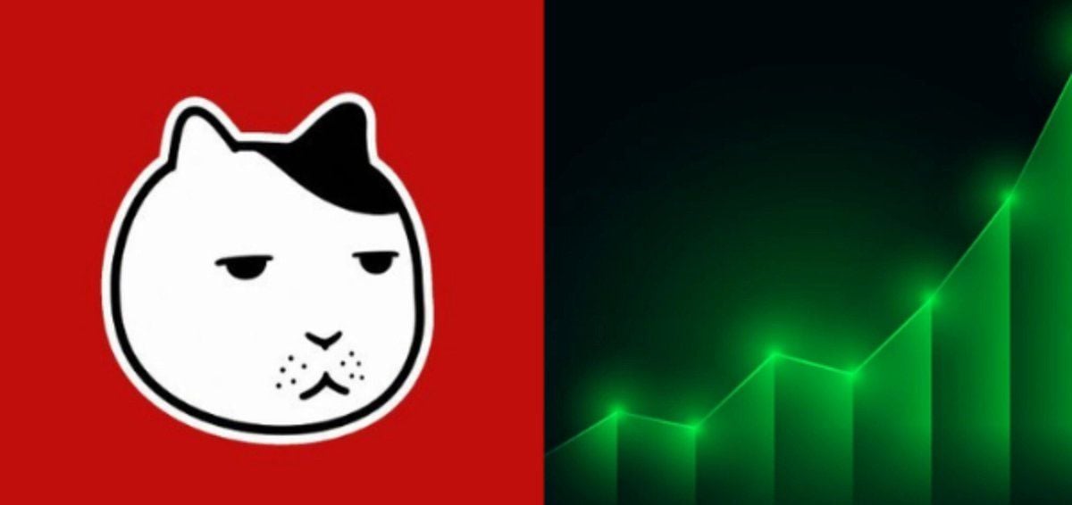 迷因币$KET24小时暴涨700%：猫男符号背后的投机逻辑