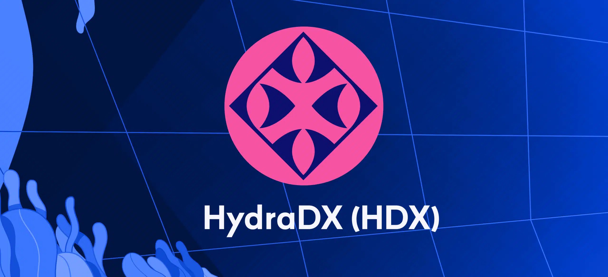 HDX突破布林带上轨，长期看涨前景浮现