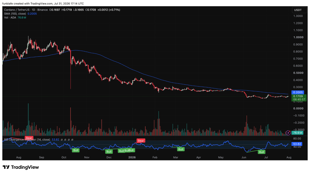 AI模型预测8月加密走势：Cardano押注ETF，Solana靠支付升级