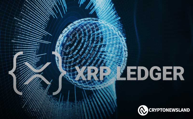 REAL代币8月1日上线新所，XRP生态再受瞩目