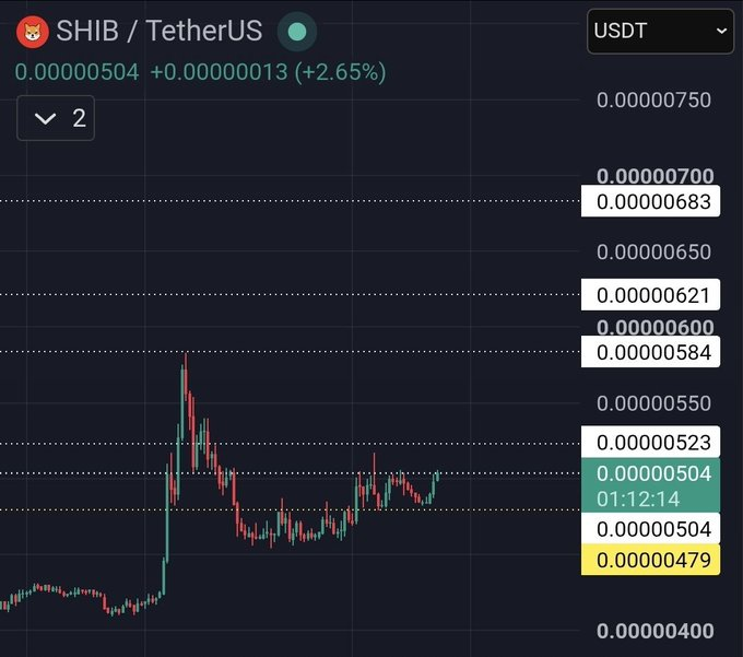 SHIB价格企稳关键支撑，多头持续捍卫涨势