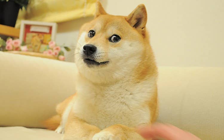 DOGE价格维持0.07美元区间，情绪驱动成核心变量