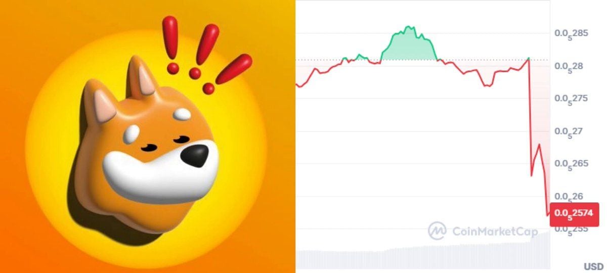 Upbit下架BONK引震荡：价格跌8%交易量暴增