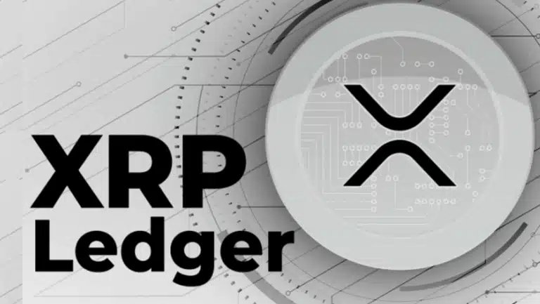 XRPL Memo扩容争议：汉密尔顿力挺专用存储网络