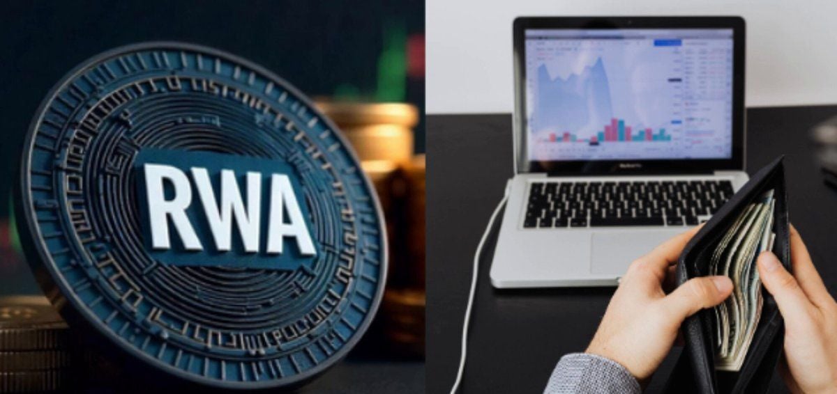 RWA市场持有者激增，股票成资金主战场