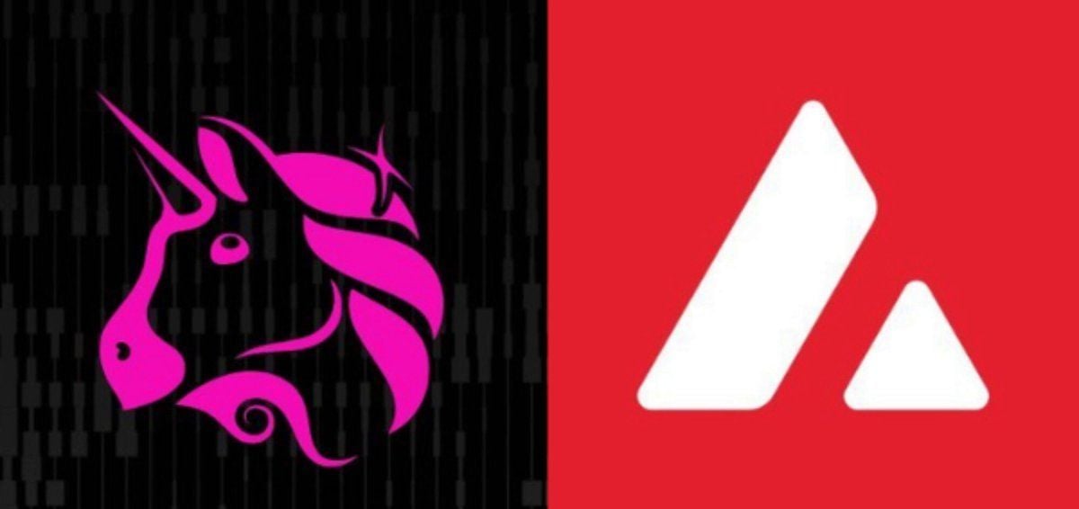 Uniswap CCA登陆Avalanche，多链布局再提速