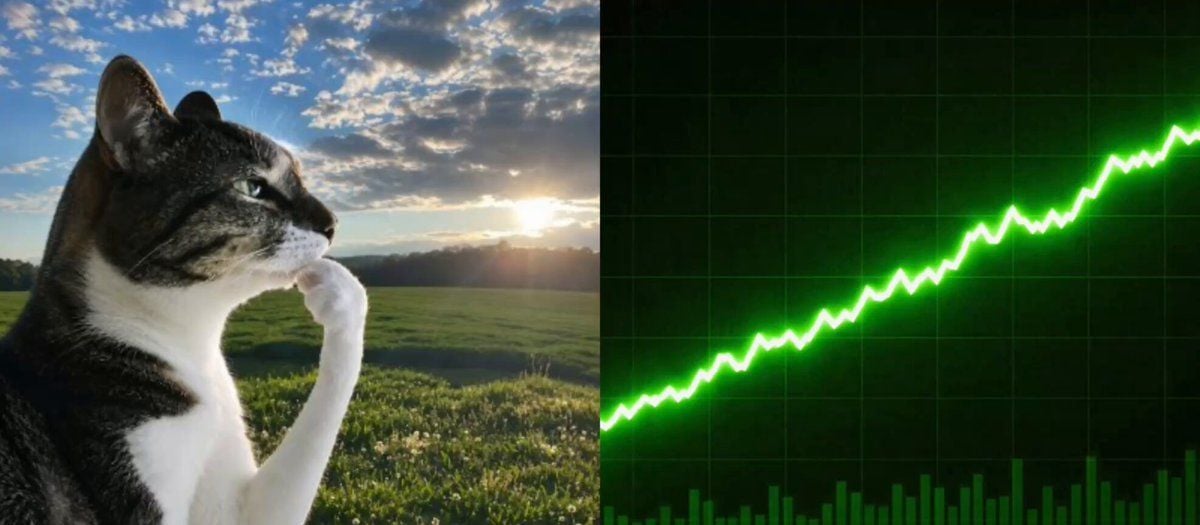 思考猫代币$HMM暴涨2300%：Robinhood链迷因币新王登基？