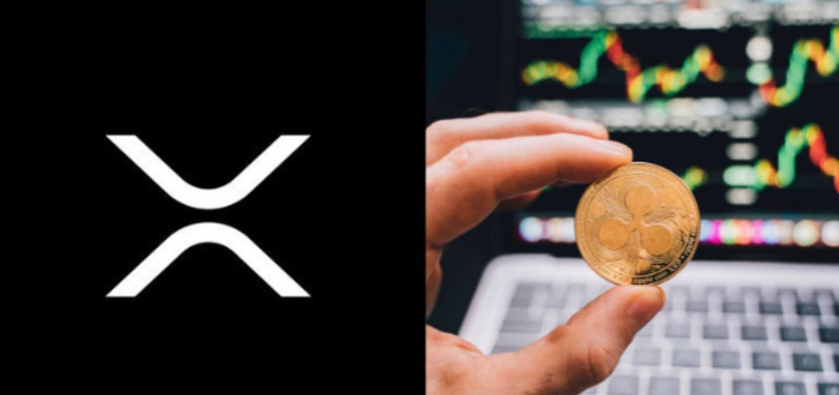 XRP链DEX交易量飙升，稳定币生态持续扩张