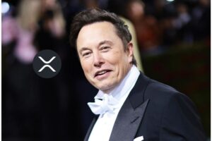 马斯克与XRP关联论再起波澜：从域名回购到星链节点
