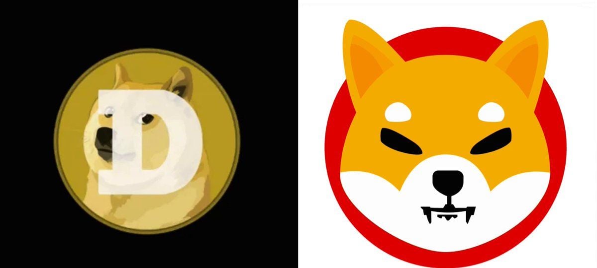 DOGE与SHIB双雄飙涨，宏观利好点燃加密市场热情
