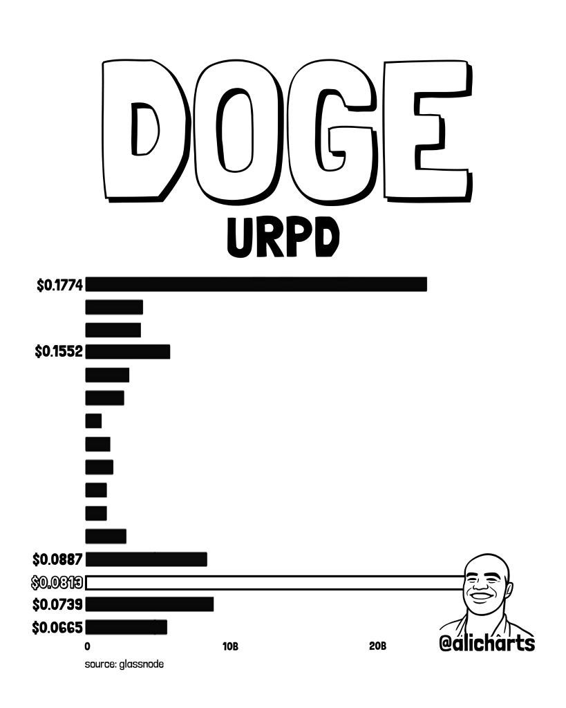DOGE守住关键支撑，ETF资金回流引关注