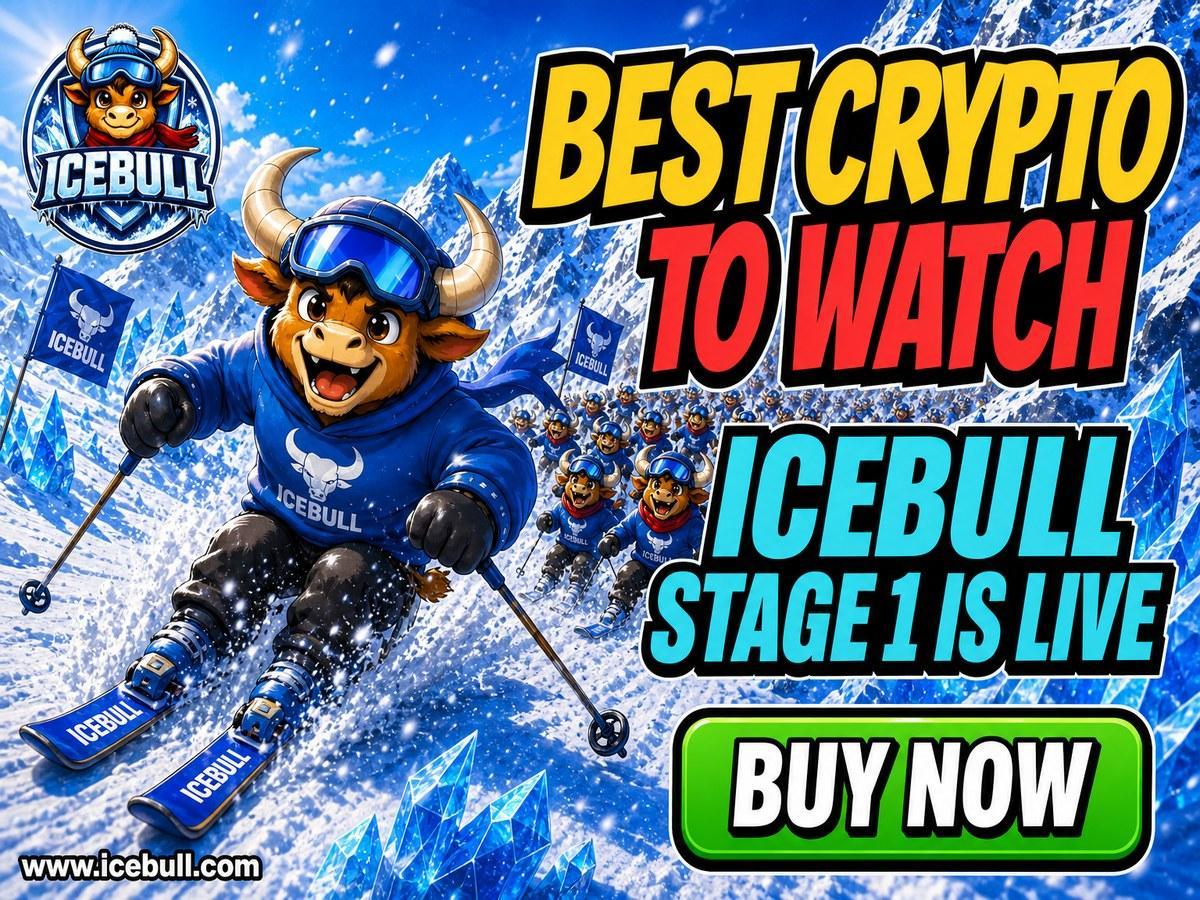 IceBull预售开启：16阶段阶梯定价引早期抢购热潮