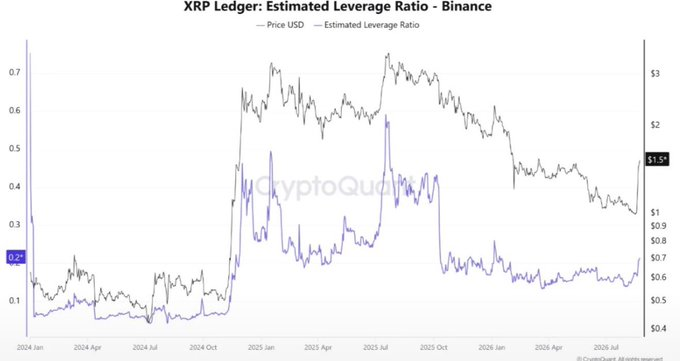 XRP市场在杠杆受控中回暖