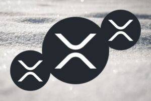 专家对XRP持有者说：这是本周你收到的最重要消息