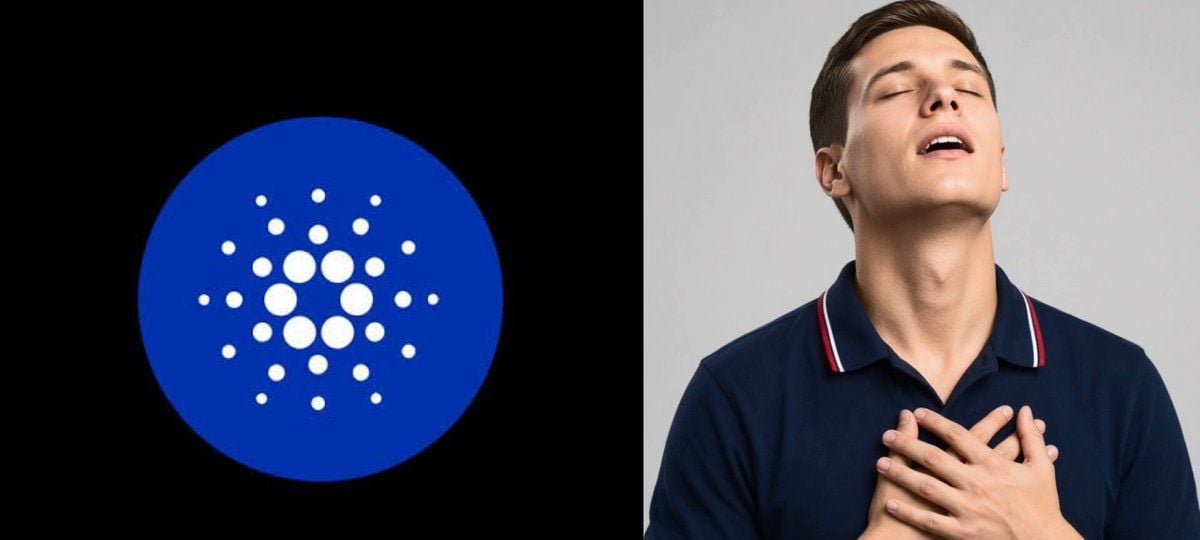 Cardano 在最后一刻避免治理危机