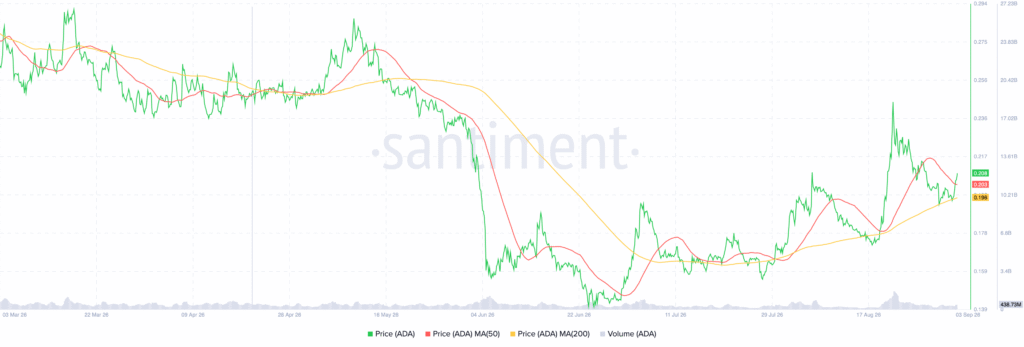 分析师关注0.24美元阻力位，Cardano（ADA）出现新买入信号