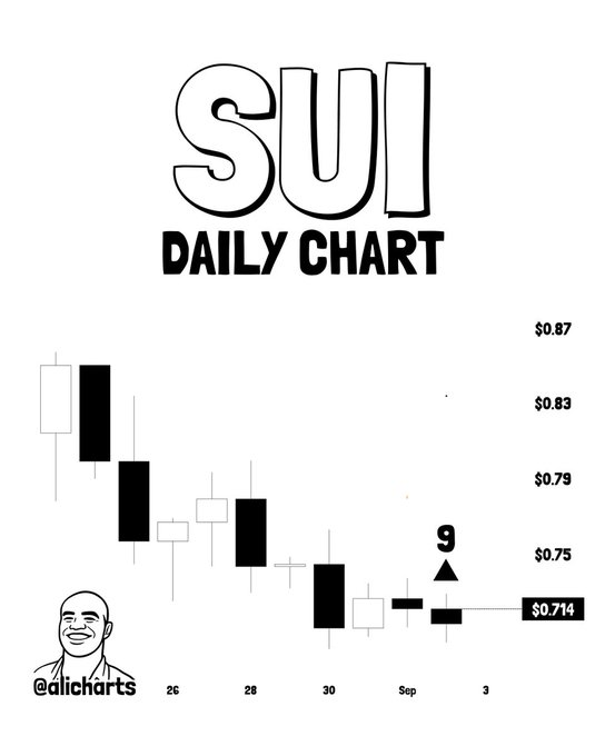 SUI反弹测试突破点，位于0.78美元附近