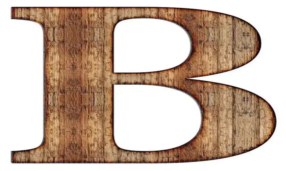 Capital B 购入376枚比特币，创下一年来最大规模收购记录