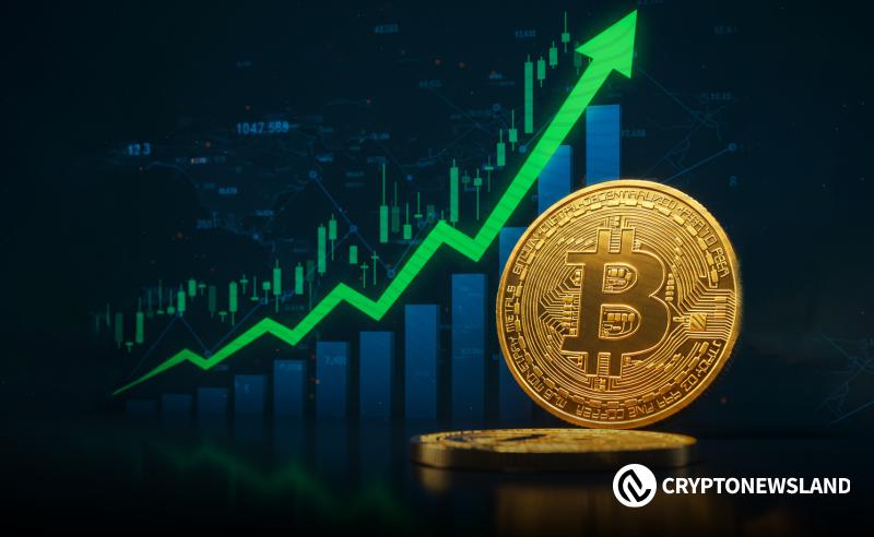 比特币迎来喘息之机，大型投资者持续增持BTC