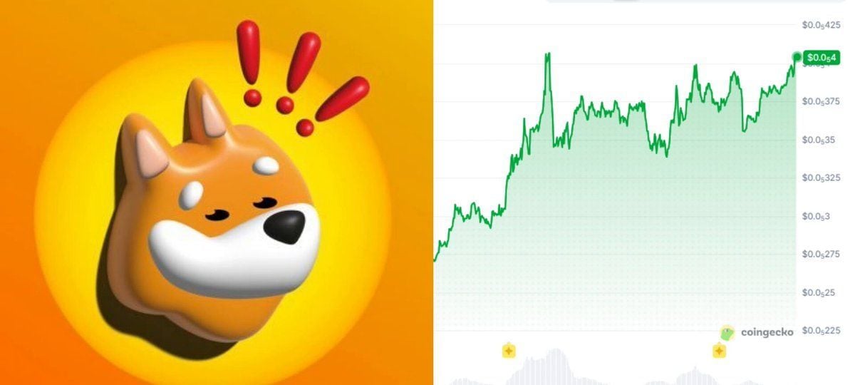 Bonk的动能正在再次积累