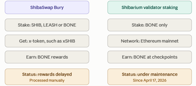 柴犬币质押指南：SHIB奖励、BONE及生态影响