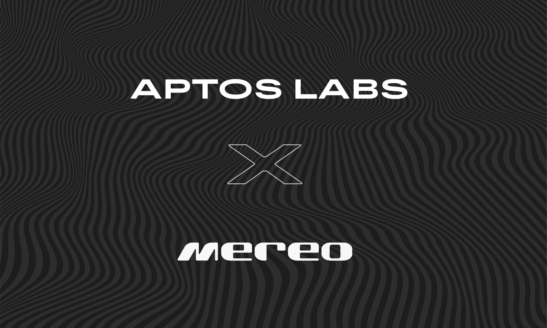 Aptos 在订单锁定前隐藏交易