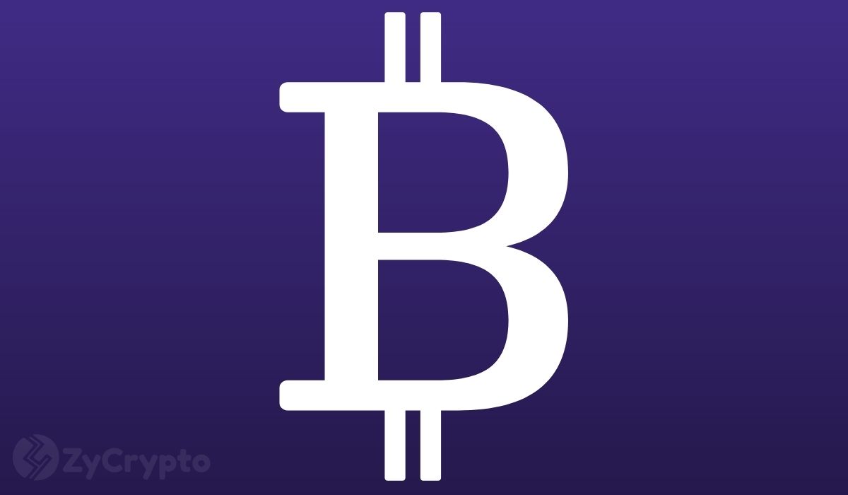 Satoshi时代比特币持有者在12年后转移3385万美元BTC，创下638倍收益纪录